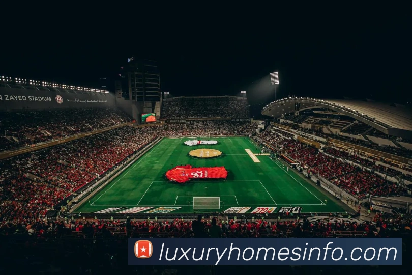 奖项证书